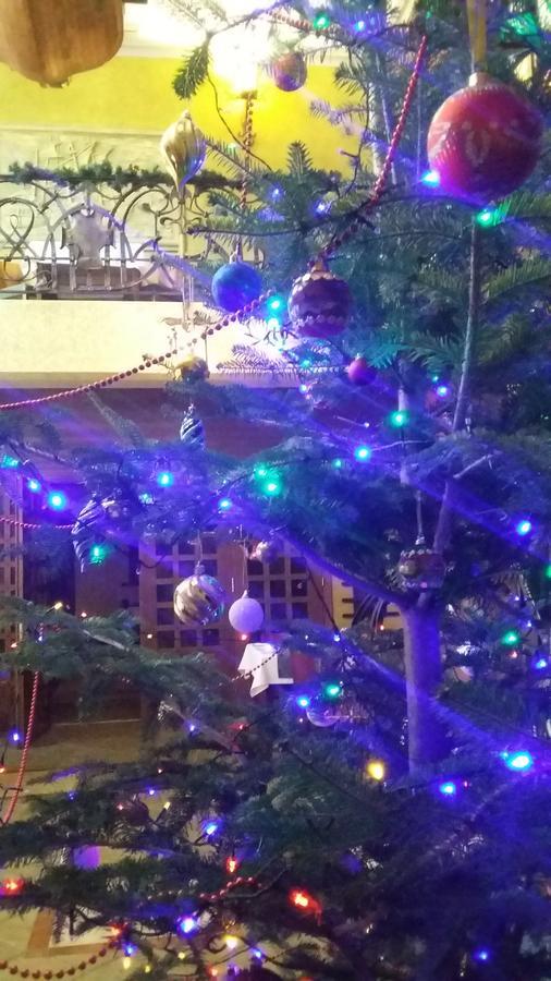 Letuchiy Gollandets Ξενοδοχείο Uzhhorod Εξωτερικό φωτογραφία